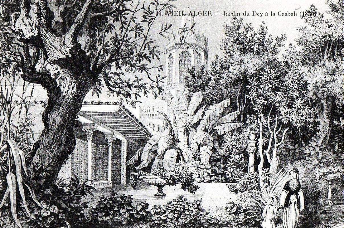 Vieil Alger 13.jpg